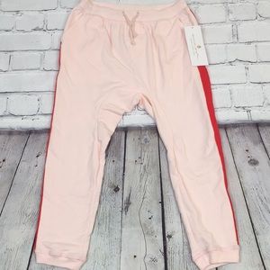Spiritual Gangster Stripe Harem Joggers Sweatpants